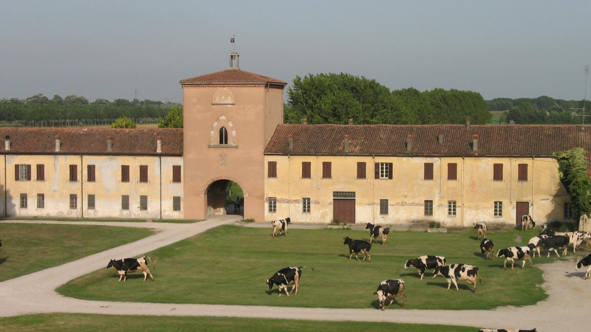 Agriturismo Corte Virgiliana Вирджилио Экстерьер фото